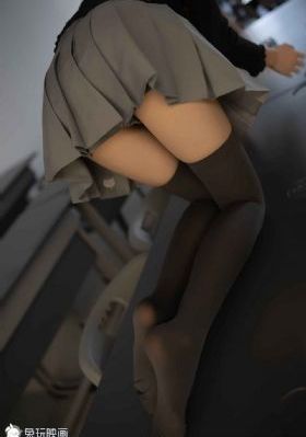 收获之夜在线播放全集