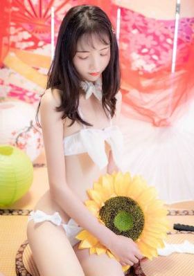 大明王朝1566策驰影院